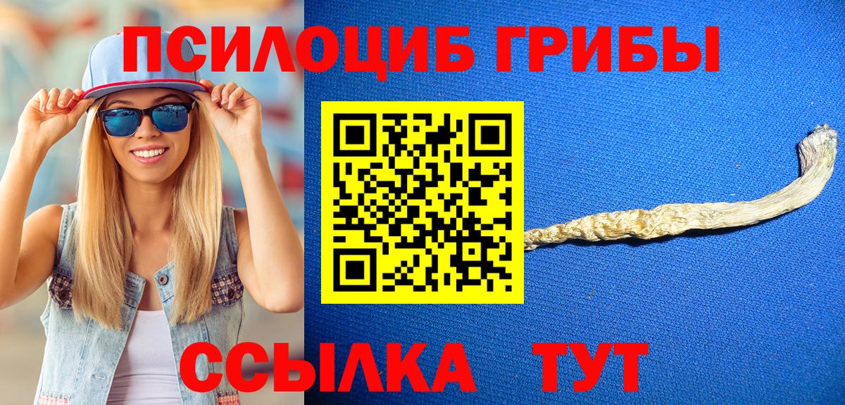 Псилоцибиновые грибы Cubensis  Галлюциногенные грибы Psilocybine cubensis  Вход с VPN  Изобильный 